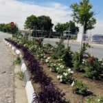 Kinross Community Forum Appeals for Support to Keep Town Clean and Green